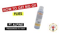 How To Get Rid of Flies - How To Use PT Alpine Pressurized Fly Bait - HowToPest.com