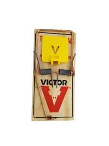 Victor Easy Set Professional Wooden Rat Traps