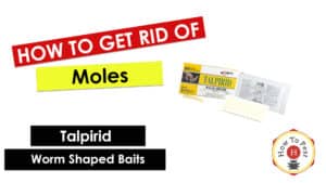 How To Get Rid of Moles - Talpirid - Thumbnail
