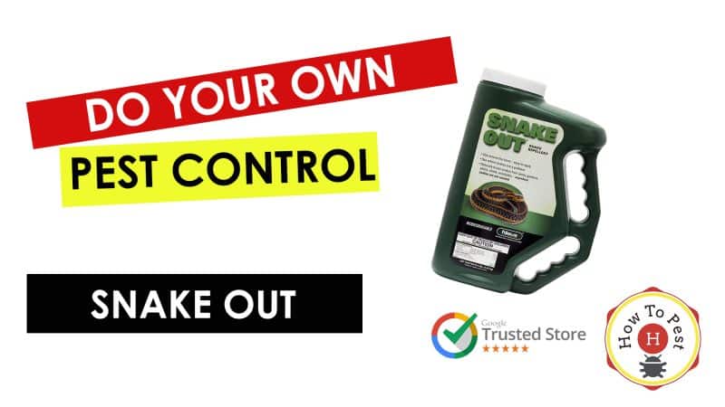 How To Get Rid of Snakes - How To Use Snake Out Snake Repellant - HowToPest.com