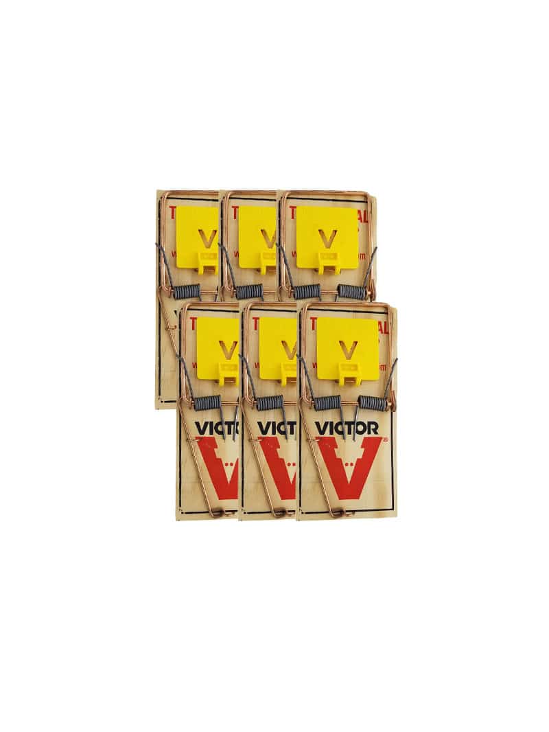 Victor Easy Set Mouse Trap 2-Pack.