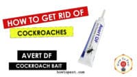 How To Get Rid of Cockroaches - Avert Dry Flowable Cockroach Bait