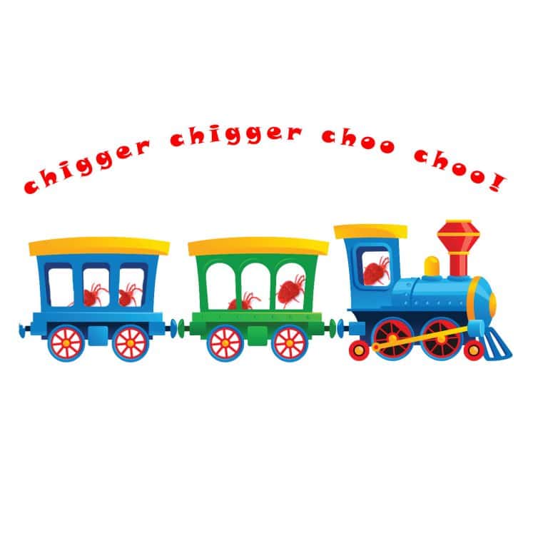Chigger Choo Choo Blog