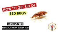 How To Get Rid of Bed Bugs - How To Use Crossfire Bed Bug Concentrate, Bedlam Bed Bug Spray, CimeXa and Delta Dust - HowToPest.com