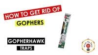 How To Get Rid of Gophers - How To Use The GopherHawk Gopher Trap - HowToPest.com