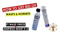 How To Get Rid of Wasps and Hornets - PT Wasp Freeze and Zenprox Wasp X
