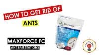 Maxforce FC Ant Stations- How To Use