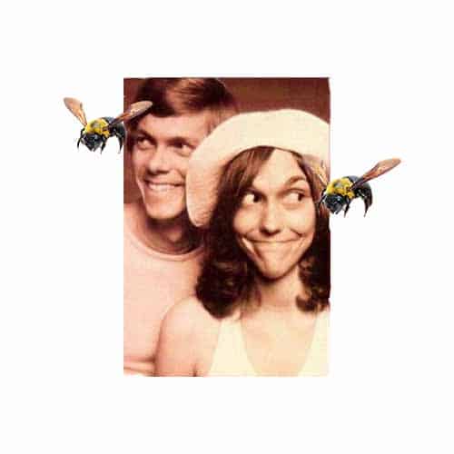 Carpenter-Bee-Blog
