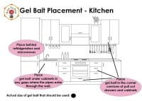Gel Bait Placement Information - HowToPest