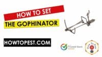 How To Set The Gophinator - Thumbnail