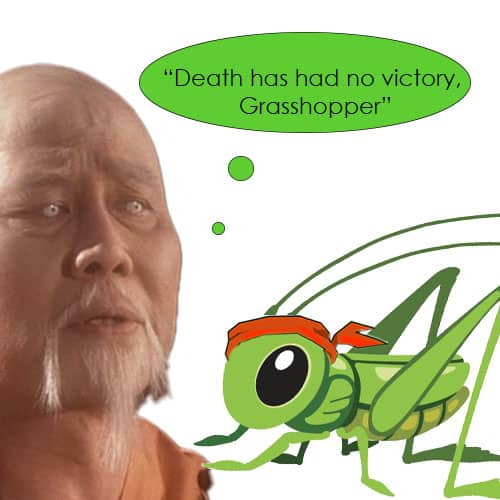 Grasshopper-Blog