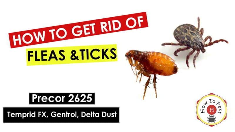 How To Get Rid of Fleas and Ticks - How To Use Precor 2625-Temprid FX-Gentrol-Delta Dust - HowToPest.com