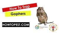 How To Trap Gophers - HowToPest.com