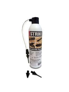 iStrike Insecticide Foam