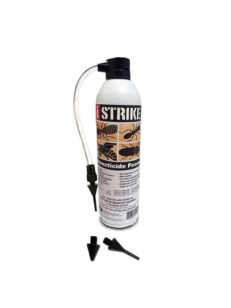 iStrike Insecticide Foam | How To Pest |Free Shipping