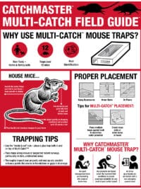 Multi-Catch Mouse Trap-FieldGuide