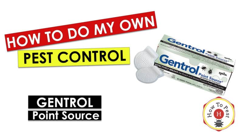 How To Do My Own Pest Control - How To Use Gentrol Point Source