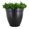 Ovi-Planter Mosquito Trap