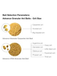 Advance Granular Ant Bait - Grit Size