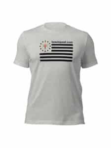 HowToPest.com American Flag Shirt - Gray
