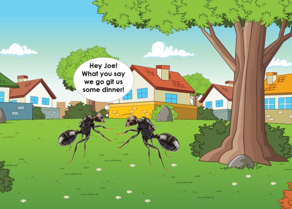 Black Garden Ants - Why are they invading your home - HowToPest.com