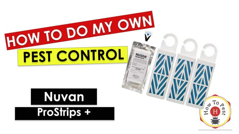 Nuvan Prostrips+ (65gm. X 3 Pack) - How To Pest - Free