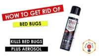 Kills Bed Bugs Plus - 17.5 oz. Aerosol