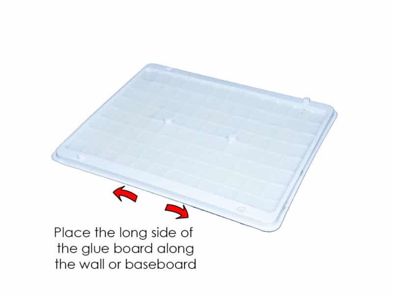 JT Eaton - Stick-Em Elephant Size Glueboard - Placement