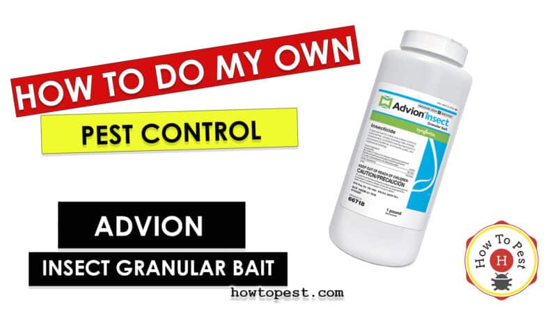 How To Use Advion Insect Granular Bait