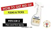 How-To-Use-Petcor-2-Flea-and-Tick-Spray