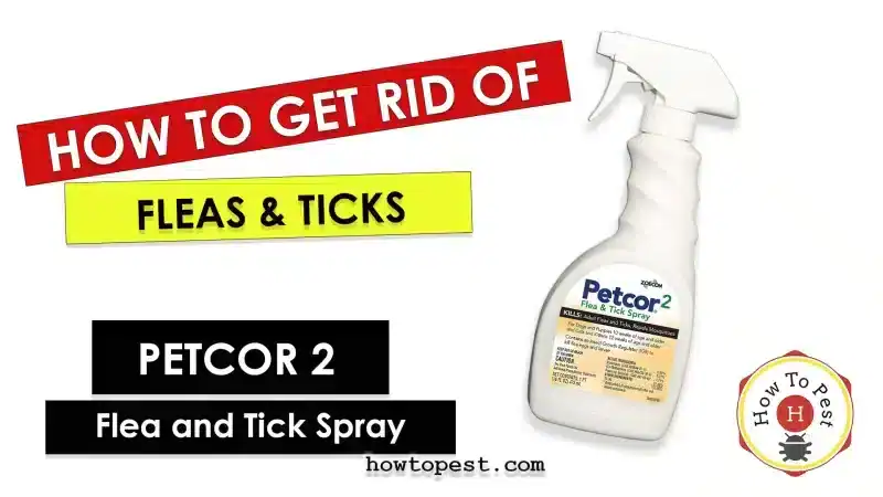 How-To-Use-Petcor-2-Flea-and-Tick-Spray