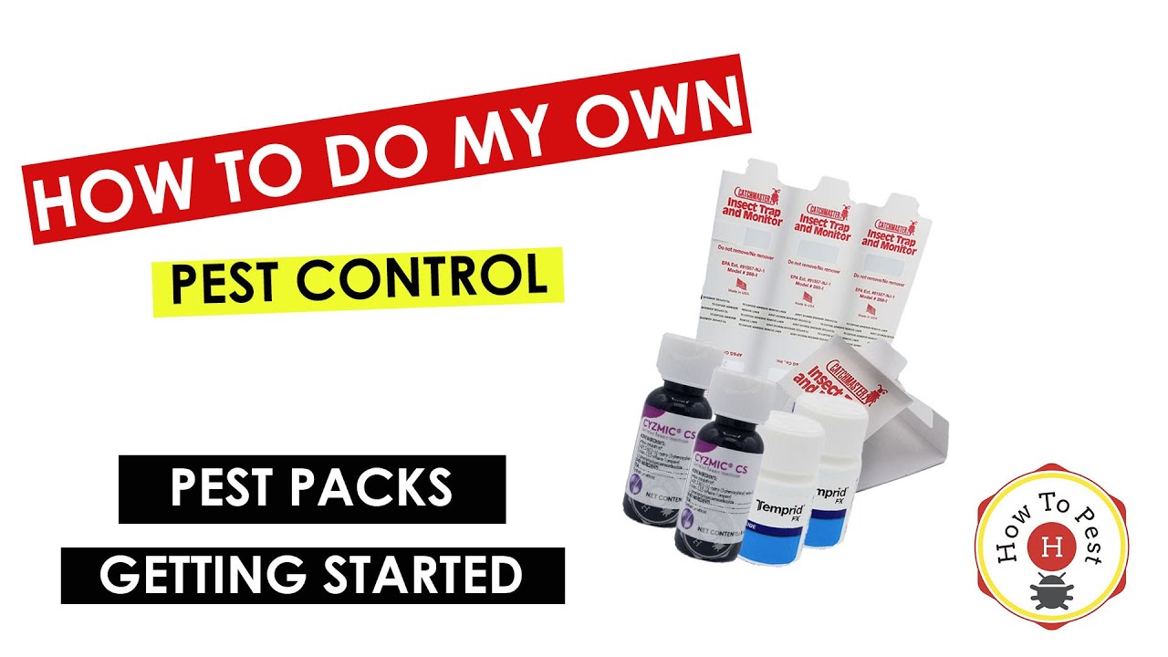 DIY_Pest_Control_Made_Easy_Getting_Started_with_Pest_Packs_from_How_To_Pest