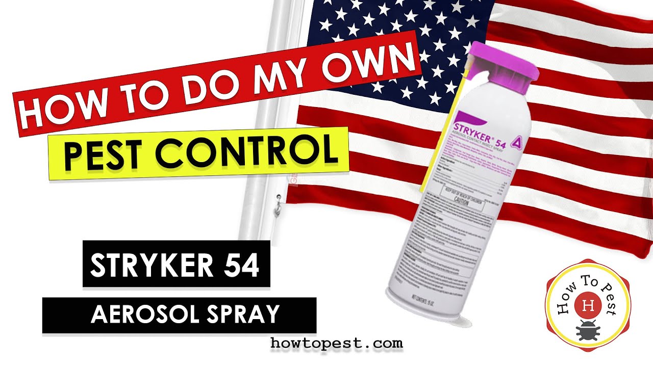DIY_Pest_Control_with_Stryker_54_–_Aerosol_Contact_Spray_Control_Solutions