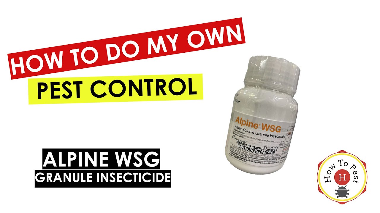 DIY_Pest_Control_–_Alpine_WSG_Insecticide_Tutorial_for_Long_Lasting_Pest_Protection