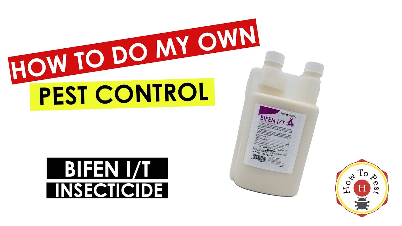 DIY_Pest_Control_–_Bifen_IT_Insecticide_Concentrate_Tutorial_Kill_Ants_Roaches_More