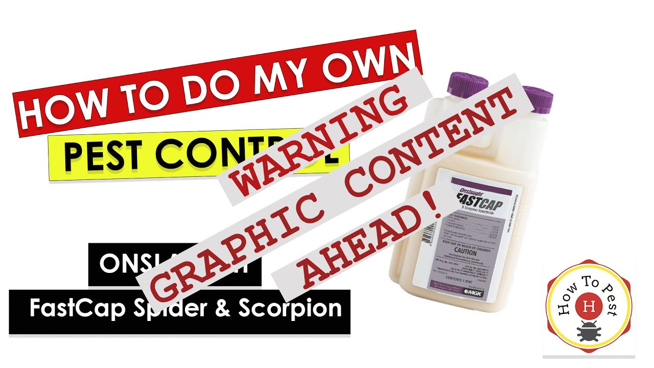 DIY_Pest_Control_–_Onslaught_FastCap_Spider_Scorpion_Insecticide_Tutorial_MGK