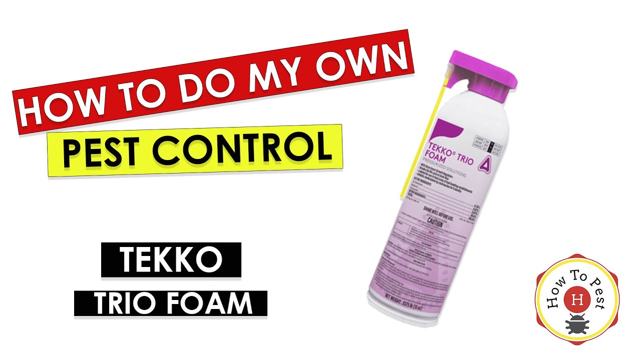 DIY_Pest_Control_–_Tekko_Trio_Foam_Tutorial_Stop_Drain_Flies_Fleas_Roaches_Bed_Bugs_Fast