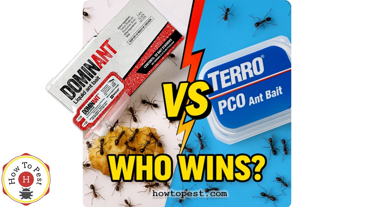 DominAnt_vs_Terro_PCO_Ant_Bait_Best_Ant_Bait_Comparison_DIY_Pest_Control_Guide