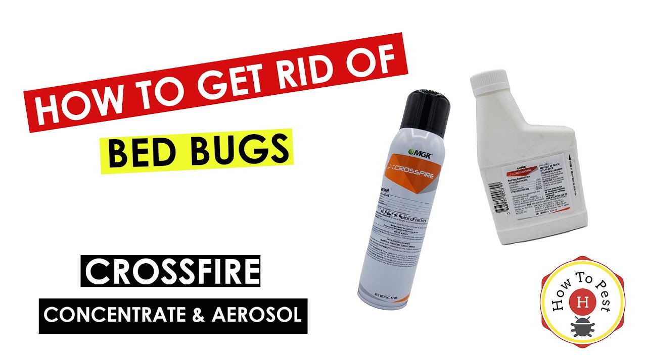 How_to_Get_Rid_of_Bed_Bugs_FAST_Crossfire_Concentrate_Aerosol_Tutorial_DIY_Pest_Control