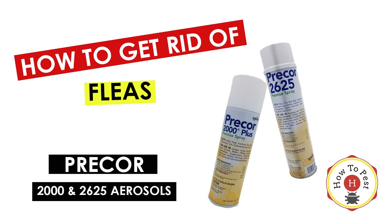 How_to_Get_Rid_of_Fleas_FAST_Precor_2000_Precor_2625_Aerosol_Tutorial-1