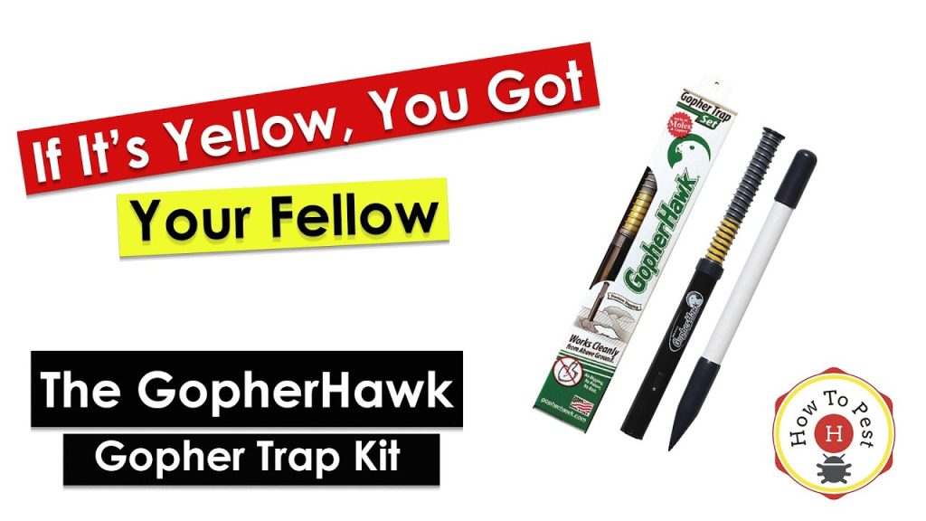 GopherHawk Trap and Probe Kit | How To Pest |Free Shipping