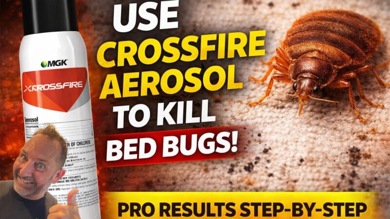 thumbnail image 2 of MGK CrossFire 13 Oz Concentrate – Kills Bed Bugs & Eggs, Up To 3 Months Prevention 2 of 6
