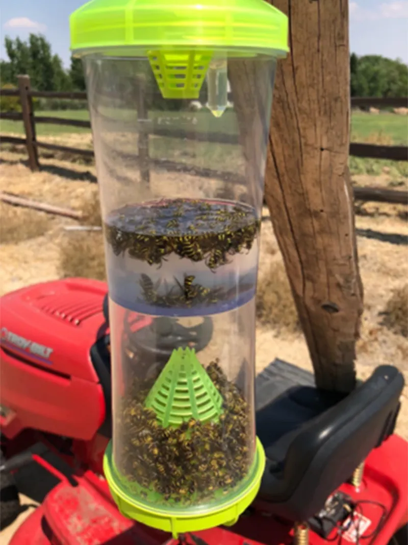 rescue_why_trap_full