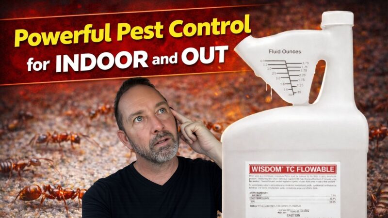 Wisdom Insect Spray Wisdom TC Flowable Insecticide | How To Pest |Free Shipping